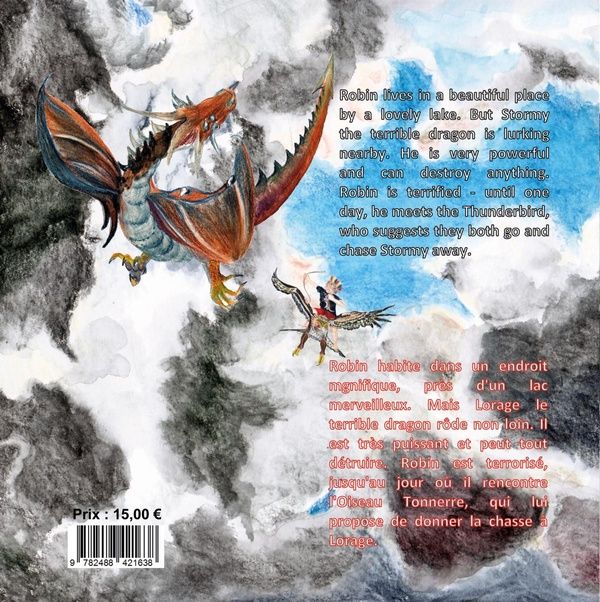 Produktbild: Stormy the dragon and the
