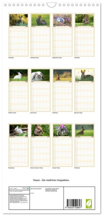Produktbild: Familienplaner 2026 - Hasen - Die niedlichen Hoppeltiere. mit 5 Spalten (Wandkalender, 21 x 45 cm) CALVENDO