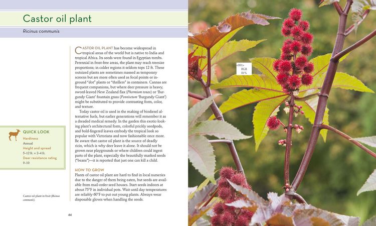 Produktbild: 50 Beautiful Deer-Resistant Plants