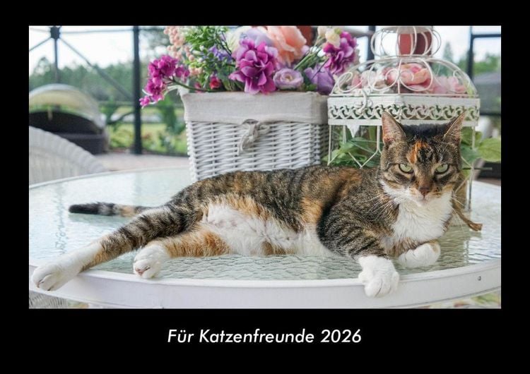 Produktbild: F&uuml;r Katzenfreunde 2026 Fotokalender DIN A3