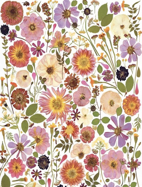 Produktbild: Beautiful Blooms Wrapping Paper Book
