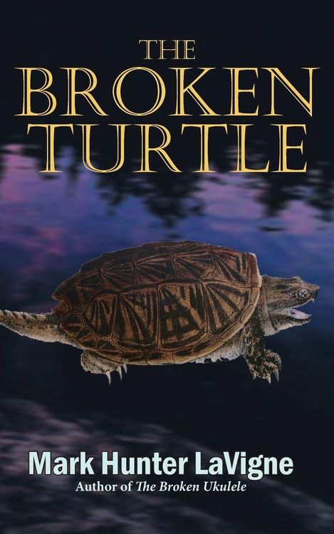 Produktbild: The Broken Turtle