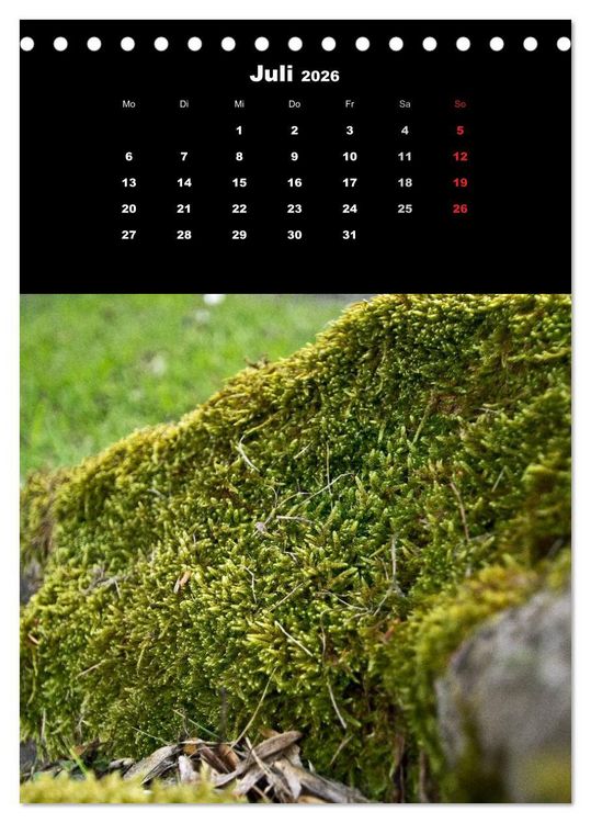 Produktbild: Die Welt der Moose. Ein Blick nach unten (Tischkalender 2026 DIN A5 hoch), CALVENDO Monatskalender