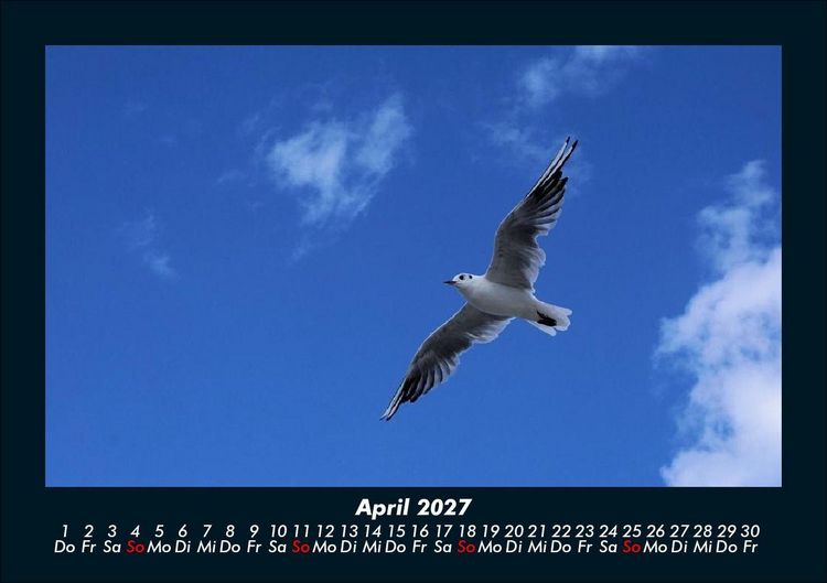 Produktbild: Welt der V&ouml;gel 2027 Fotokalender DIN A5