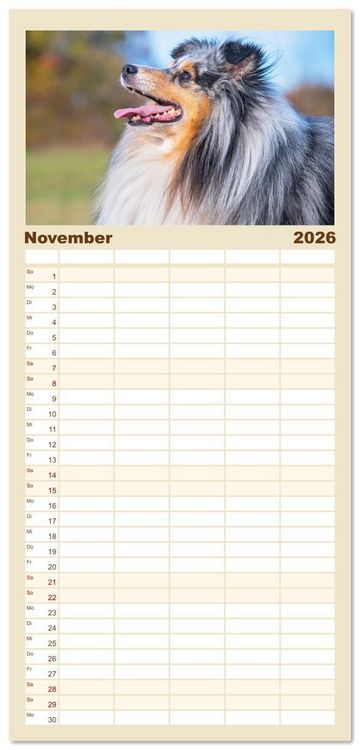 Produktbild: Familienplaner 2026 - Britische H&uuml;tehunde - Treue Freunde auf vier Pfoten mit 5 Spalten (Wandkalender, 21 x 45 cm) CALVENDO