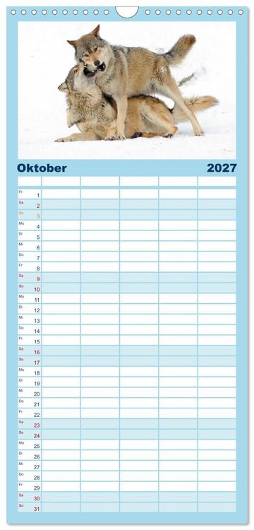 Produktbild: Familienplaner 2027 - Kanadische W&ouml;lfe im Winter mit 5 Spalten (Wandkalender, 21 x 45 cm) CALVENDO