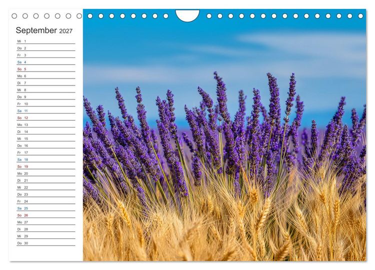 Produktbild: Ein Hauch von S&uuml;den (Wandkalender 2027 DIN A4 quer), CALVENDO Monatskalender