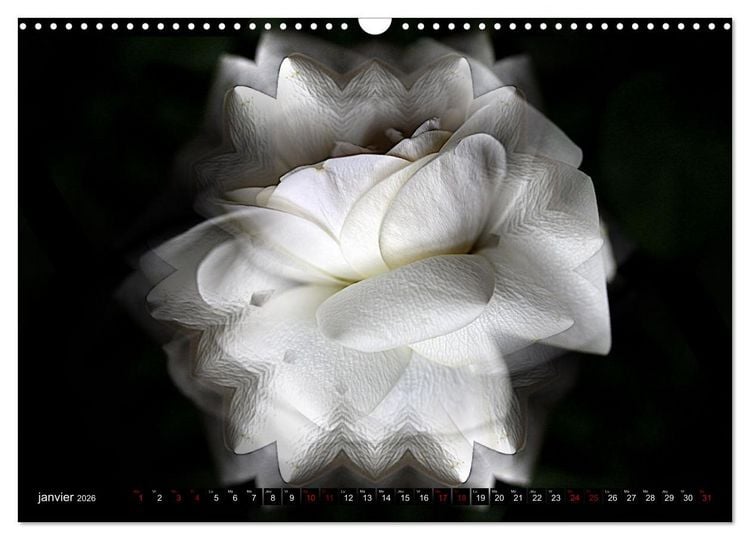 Produktbild: Bouquet d'un jour, bouquet pour toujours (Calendrier mural 2026 DIN A3 vertical), CALVENDO calendrier mensuel