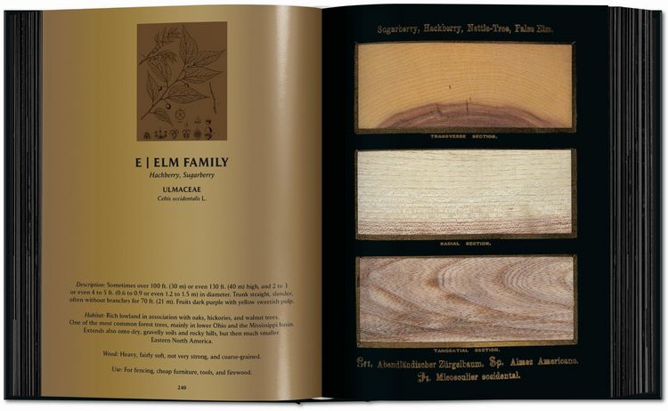 Produktbild: Romeyn B. Hough