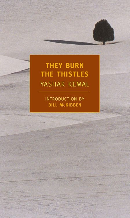 Produktbild: They Burn the Thistles