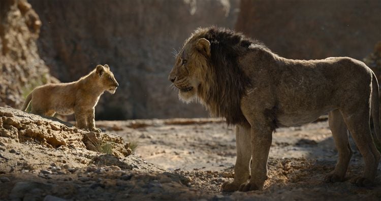 Produktbild: Der K&ouml;nig der L&ouml;wen
