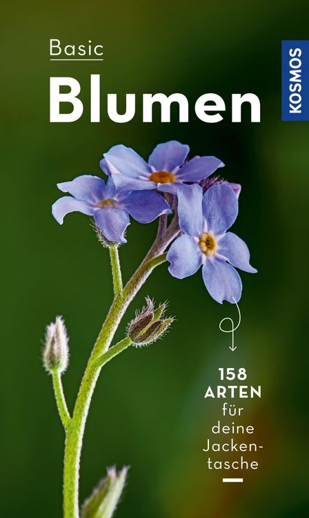 Produktbild: Basic Blumen