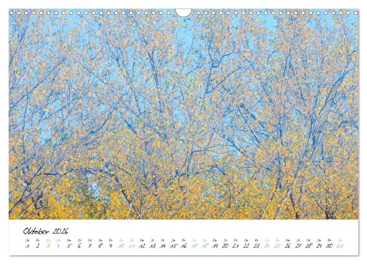 Produktbild: In der Welt der B&auml;ume (Wandkalender 2026 DIN A3 quer), CALVENDO Monatskalender
