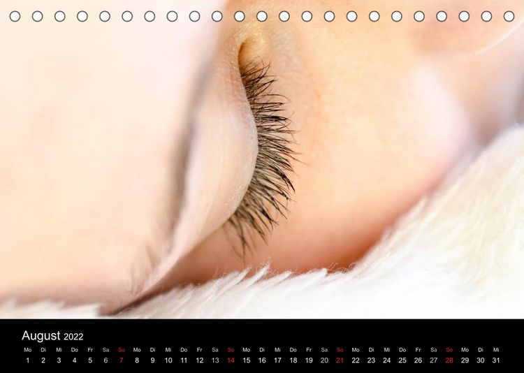 Produktbild: Ein Blick sagt mehr als 1000 Worte (Tischkalender 2022 DIN A5 quer)