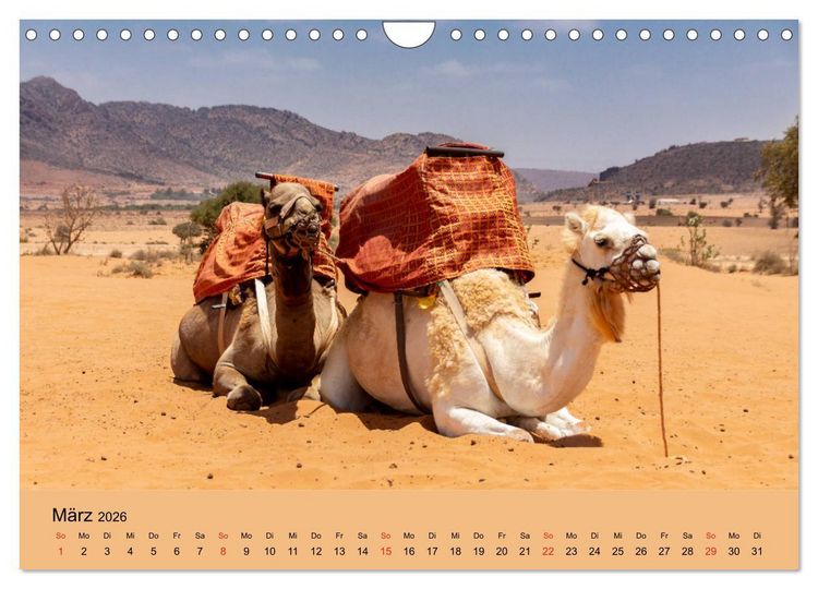 Produktbild: Abenteuer Marokko - eine Reise durch die Region Sous-Massa (Wandkalender 2026 DIN A4 quer), CALVENDO Monatskalender