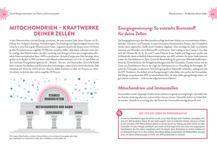 Produktbild: Immunpower