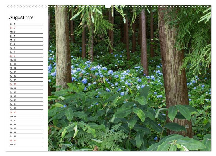 Produktbild: Azoren - S&atilde;o Miguel (hochwertiger Premium Wandkalender 2026 DIN A2 quer), Kunstdruck in Hochglanz