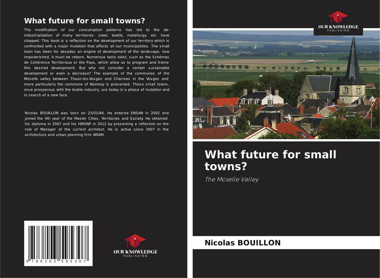 Produktbild: What future for small towns?