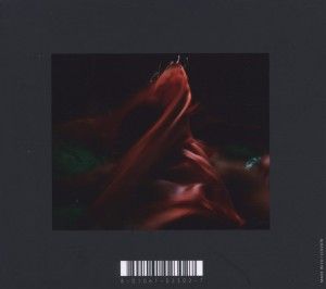 Produktbild: Until The Quiet Comes