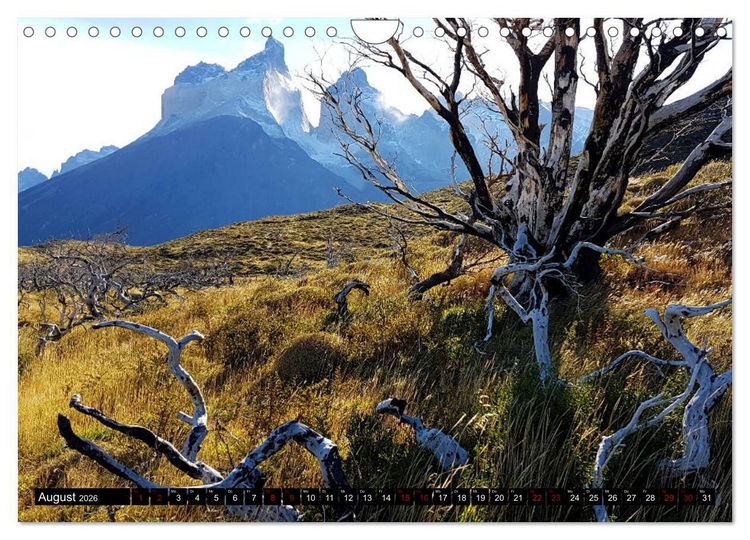 Produktbild: Patagonien - Parques Torres del Paine und Los Glaciares (Wandkalender 2026 DIN A4 quer), CALVENDO Monatskalender