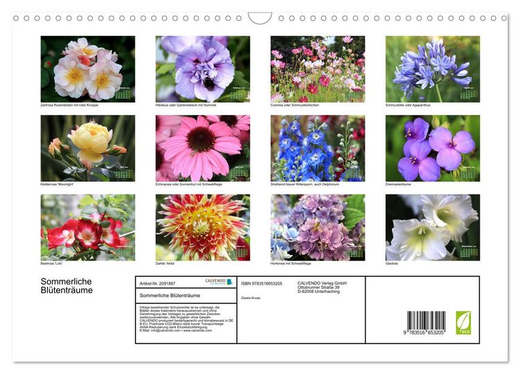 Produktbild: Sommerliche Bl&uuml;tentr&auml;ume (Wandkalender 2026 DIN A3 quer), CALVENDO Monatskalender