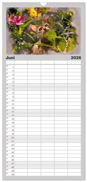 Produktbild: Familienplaner 2026 - Katzenkalender mausgemalt mit 5 Spalten (Wandkalender, 21 x 45 cm) CALVENDO