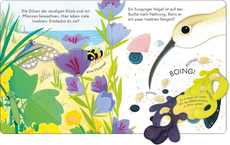 Produktbild: Guck mal, wer da ist! An der K&uuml;ste