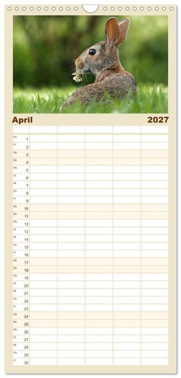 Produktbild: Familienplaner 2027 - Hasen - Die niedlichen Hoppeltiere. mit 5 Spalten (Wandkalender, 21 x 45 cm) CALVENDO