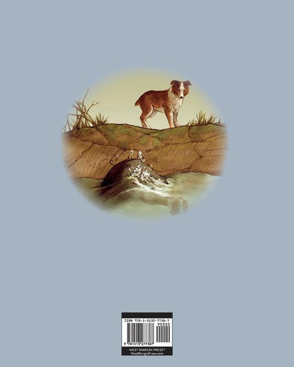 Produktbild: Bobbie the Wonder Dog