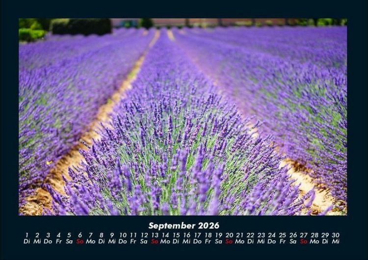 Produktbild: Blumenzauber 2026 Fotokalender DIN A4