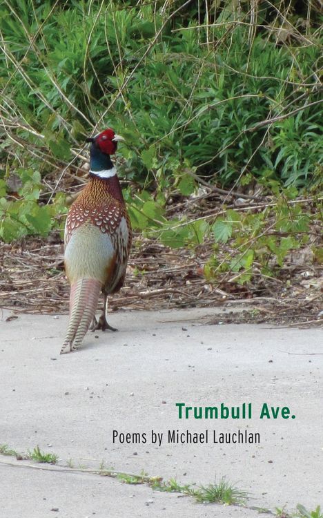 Produktbild: Trumbull Ave.