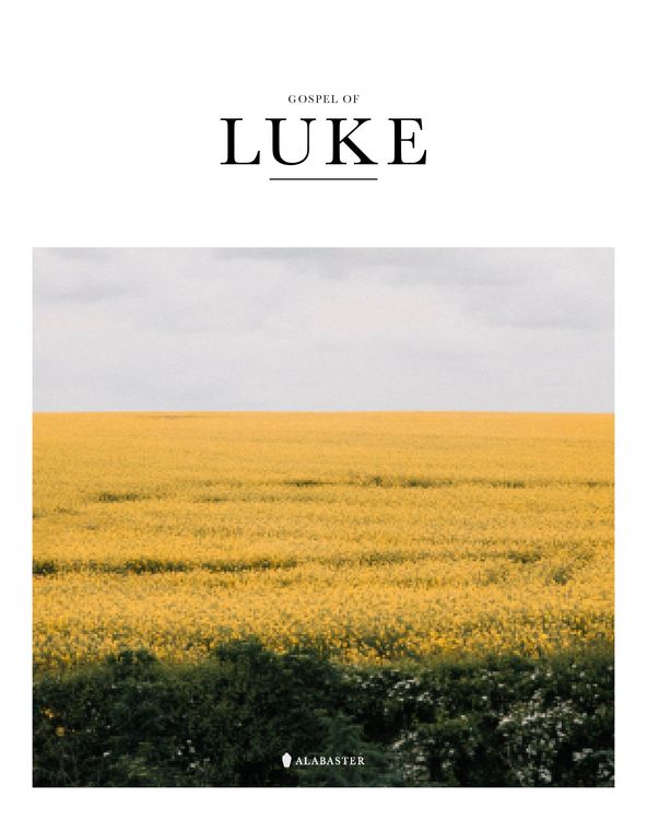 Produktbild: Gospel of Luke (Sc, Nlt)