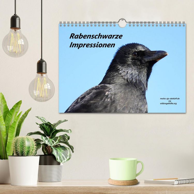 Produktbild: Rabenschwarze Impressionen - meike-ajo-dettlaff.de via wildvogelhlfe.org (Wandkalender 2026 DIN A4 quer), CALVENDO Monatskalender