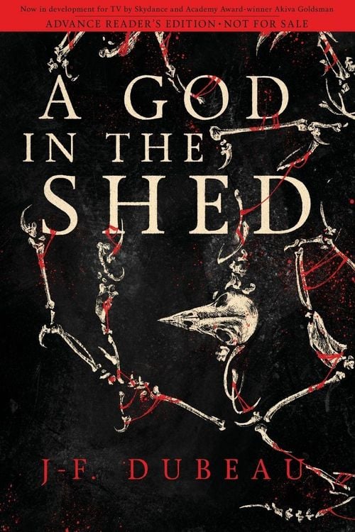 Produktbild: A God in the Shed