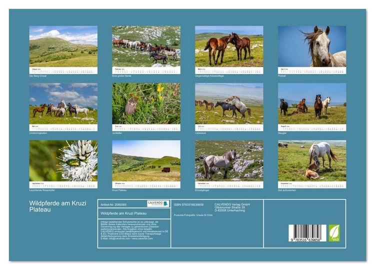 Produktbild: Wildpferde am Kruzi Plateau (Wandkalender 2026 DIN A3 quer), CALVENDO Monatskalender