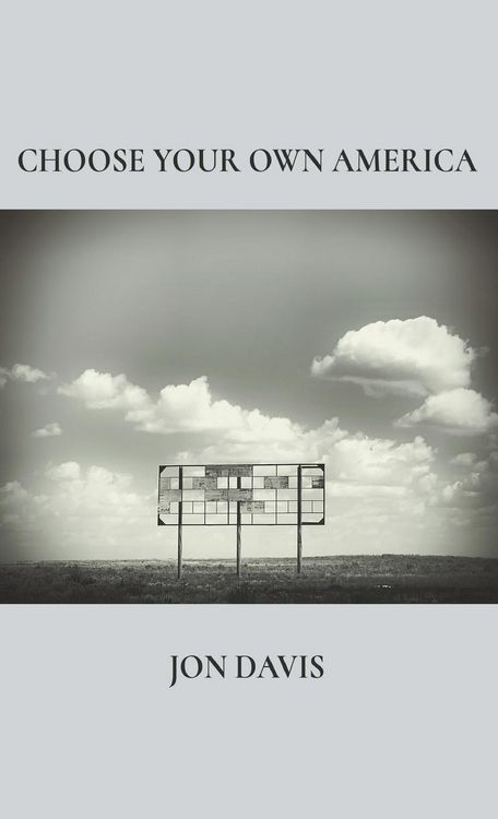 Produktbild: Choose Your Own America