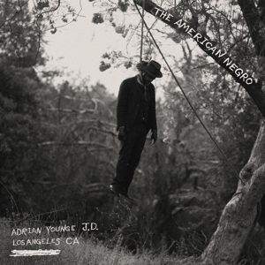 Produktbild: The American Negro