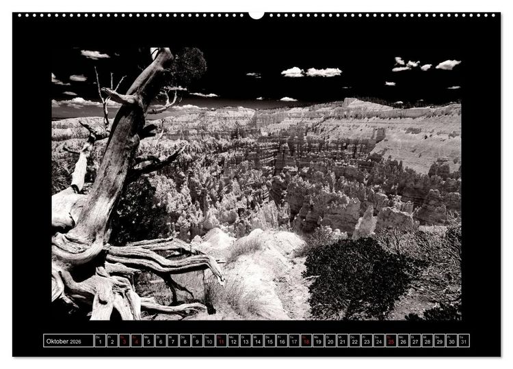 Produktbild: USA - 4000 Meilen S&uuml;dwest Hommage an die gro&szlig;en SW-Fotografen Amerikas (hochwertiger Premium Wandkalender 2026 DIN A2 quer), Kunstdruck in Hochglanz