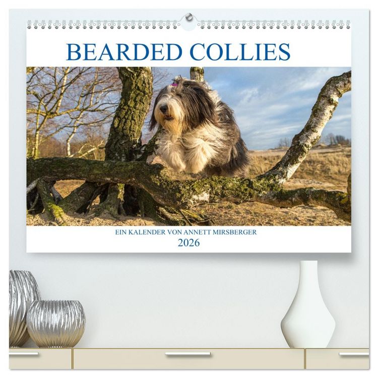 Produktbild: BEARDED COLLIES 2026 (hochwertiger Premium Wandkalender 2026 DIN A2 quer), Kunstdruck in Hochglanz