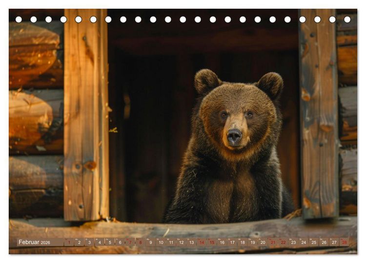 Produktbild: Wildes B&auml;renland (Tischkalender 2026 DIN A5 quer), CALVENDO Monatskalender