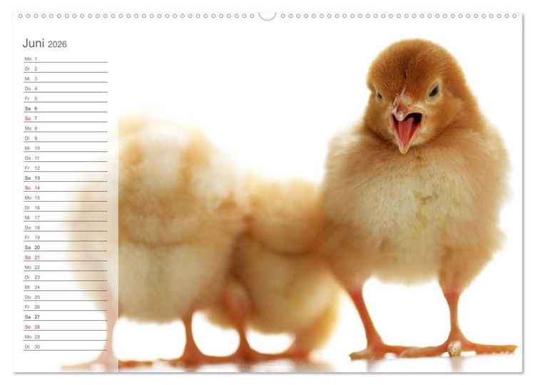 Produktbild: K&uuml;ken in der Kinderstube Terminplaner (hochwertiger Premium Wandkalender 2026 DIN A2 quer), Kunstdruck in Hochglanz