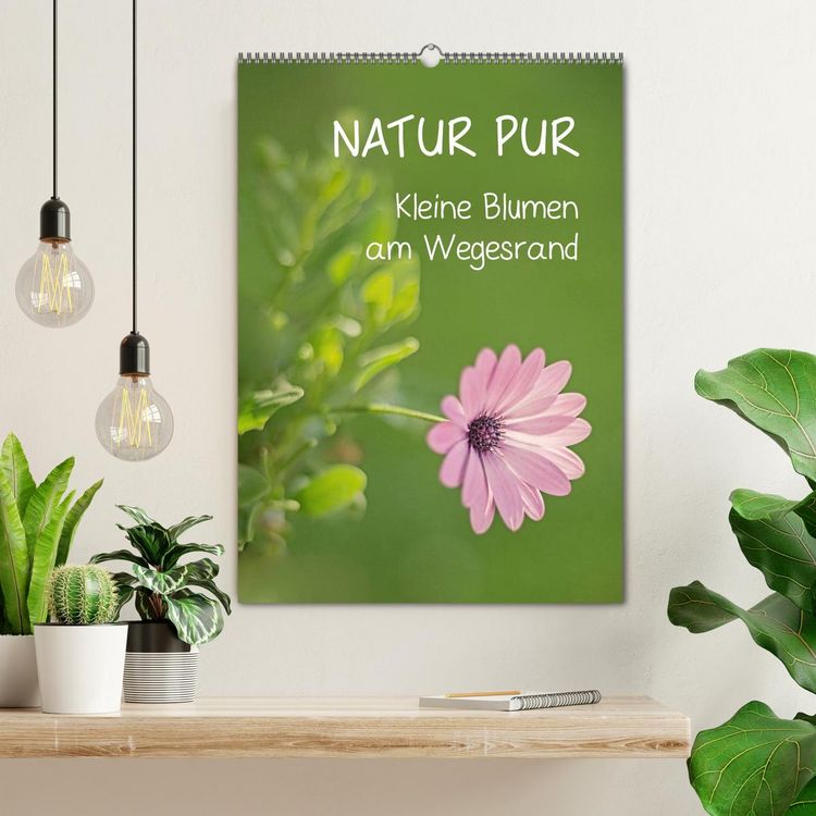 Produktbild: NATUR PUR Kleine Blumen am Wegesrand (Wandkalender 2026 DIN A2 hoch), CALVENDO Monatskalender