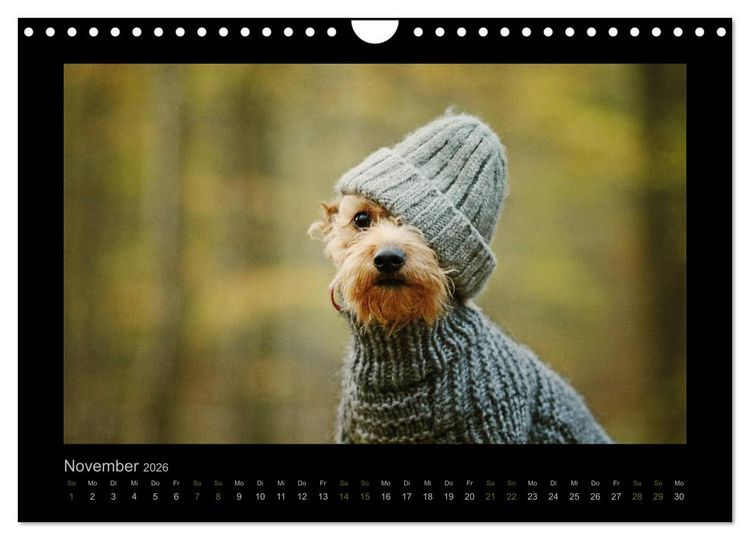 Produktbild: Elli Pirelli... aus dem Leben eines fr&ouml;hlichen Pinscher-Dackel-M&auml;dels (Wandkalender 2026 DIN A4 quer), CALVENDO Monatskalender