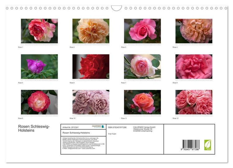 Produktbild: Rosen Schleswig-Holsteins (Wandkalender 2026 DIN A3 quer), CALVENDO Monatskalender