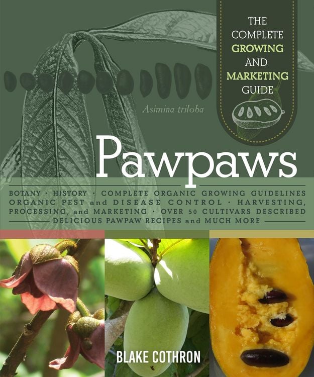 Produktbild: Pawpaws