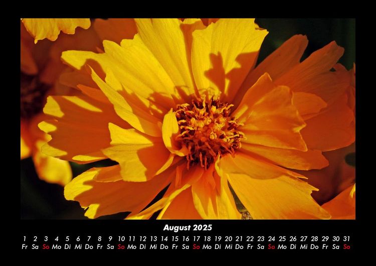 Produktbild: Blumenzauber 2025 Fotokalender DIN A3