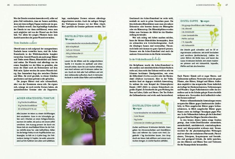 Produktbild: Geheimnisse der Unkr&auml;uter