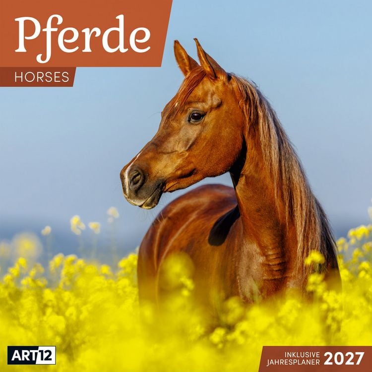 Produktbild: Pferde Kalender 2027 - 30x30 - Art12
