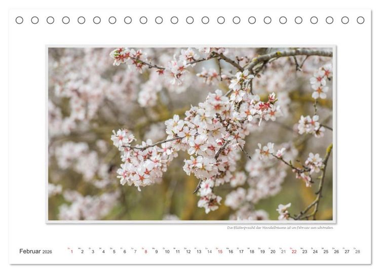 Produktbild: Emotionale Momente: Mallorca Best of (Tischkalender 2026 DIN A5 quer), CALVENDO Monatskalender