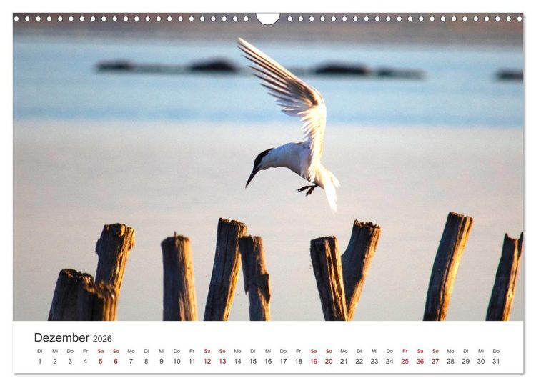 Produktbild: Bulgarien - Eine Reise zum Schwarzen Meer. (Wandkalender 2026 DIN A3 quer), CALVENDO Monatskalender